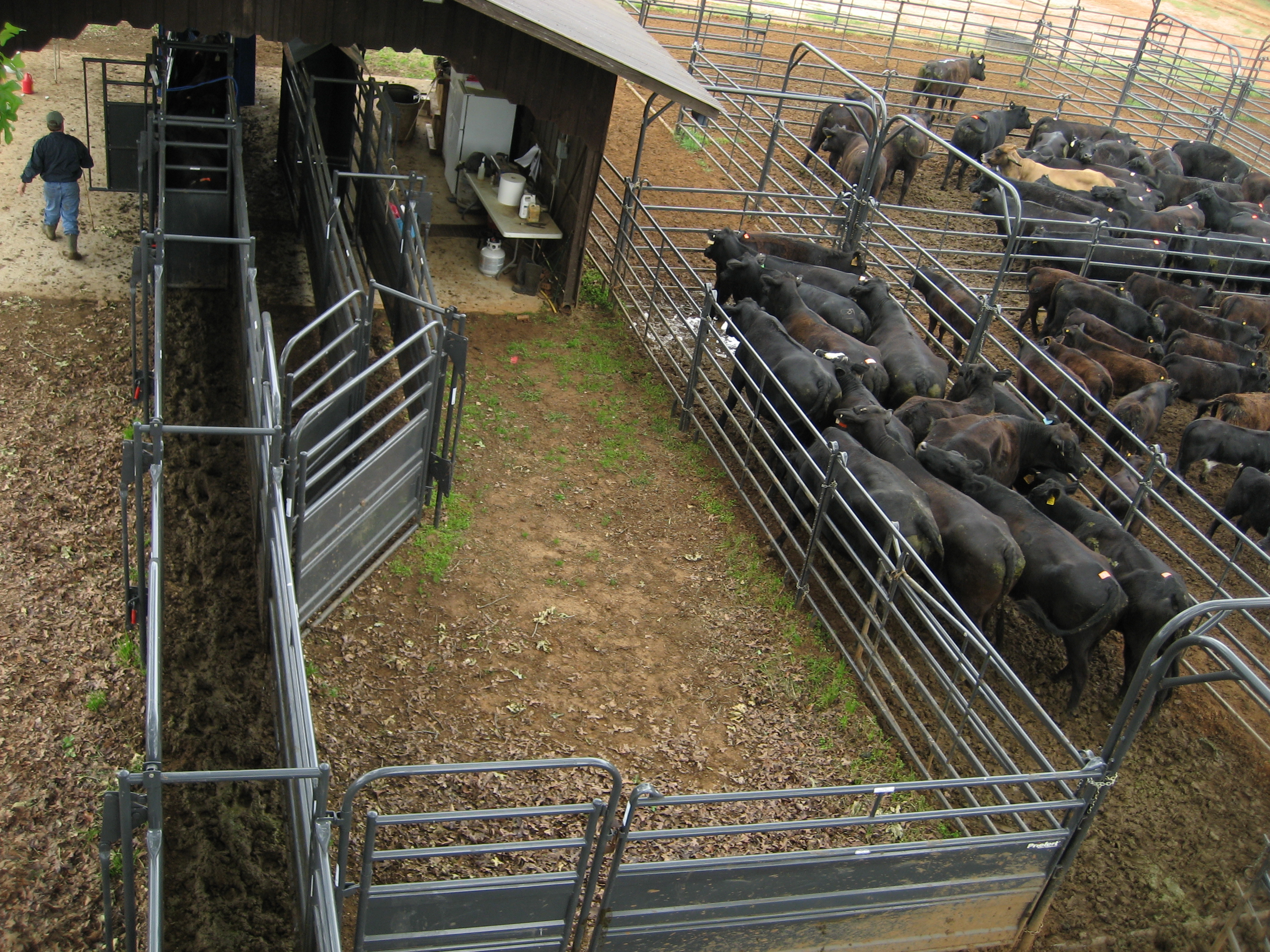 Solid Sweep SSOS12 08.jpg